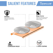 Stellar Stainless Steel and Frosted Glass Double Soap Dish (Rosegold)