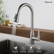 Nexa Dual Flow Pull-out Kitchen Table Mount Mixer Faucet - by Specule