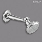 Load image into Gallery viewer, Kangaroo Brass Overhead Shower – by Specule
