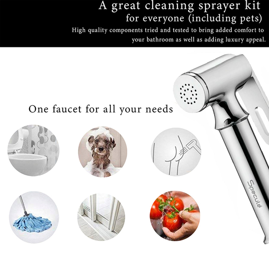 Ornamix Chrome Health Faucet with Dual Flow and 1 Meter 304-Grade SS Hose & Hook